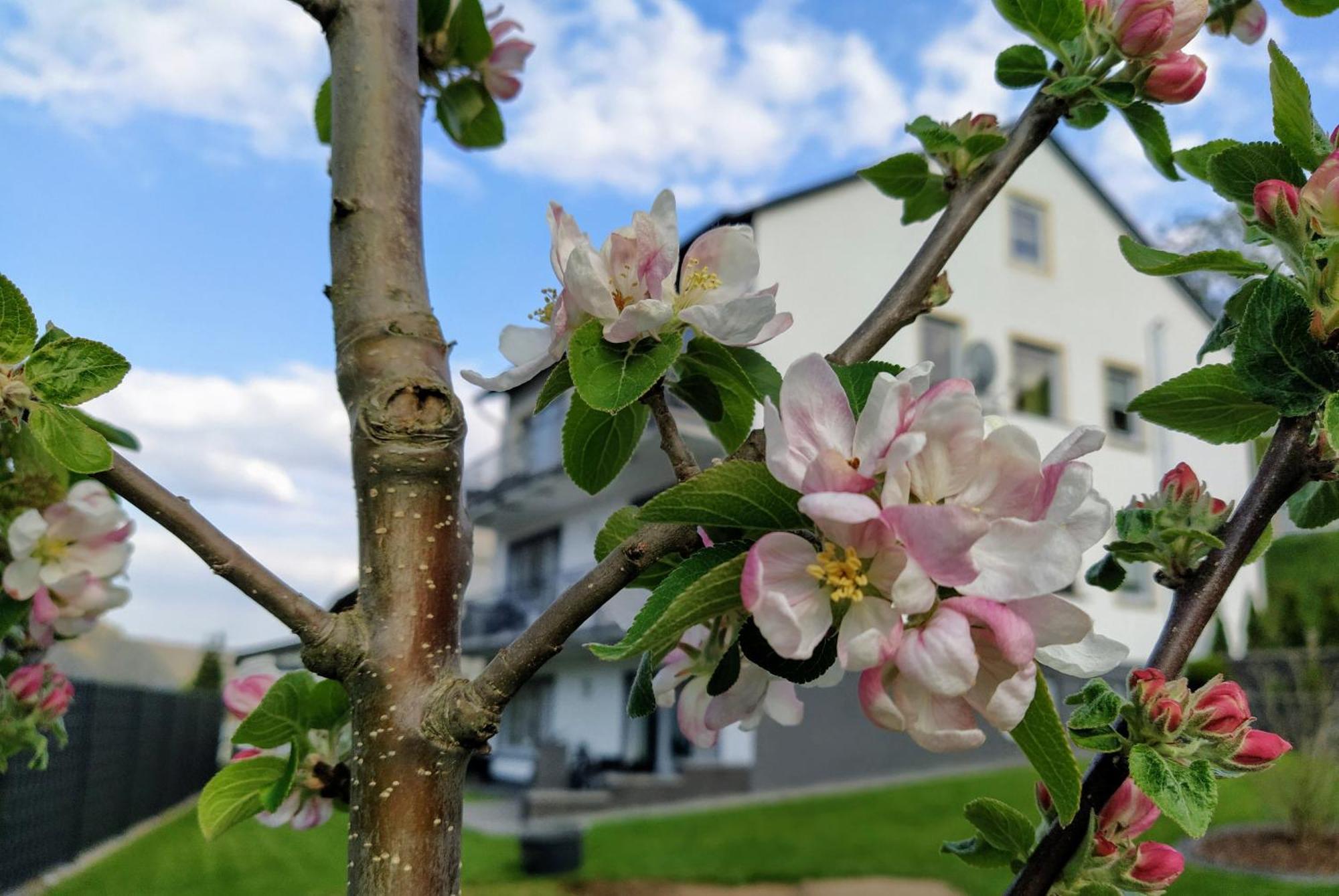Kleine Auszeit Apartment